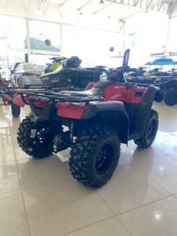 HONDA FOUTRAX TRX 420 2024 EXTRA APENAS 4.300KM completo