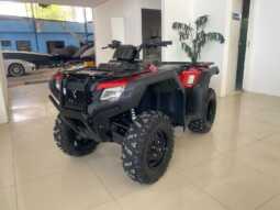 HONDA FOUTRAX TRX 420 2024 EXTRA APENAS 4.300KM completo